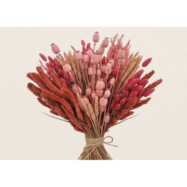 Droogbloemen DIY set "Tiengemeten" | Vijf soorten roze droogbloemen in een box