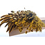 Trockenblumen DIY-Set "Schokland" | Fünf Arten gelber Trockenblumen in einer Box