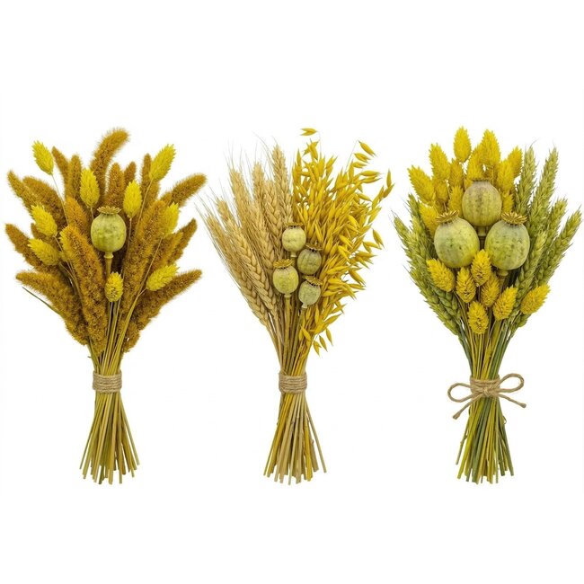 Kit DIY de fleurs séchées "Schokland" | Cinq types de fleurs séchées jaunes dans une boîte