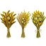 Trockenblumen DIY-Set "Schokland" | Fünf Arten gelber Trockenblumen in einer Box
