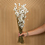 Natürliche weiße Acroclinium Trockenblumen | Länge ± 45 Zentimeter | Gewicht ± 100 Gramm