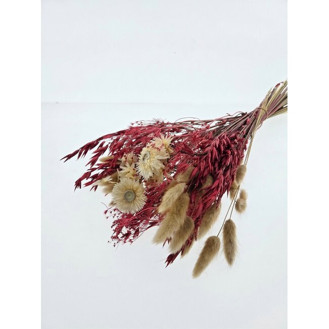 Bouquet of dried flowers "Moulin Rouge" | Length ± 50 centimetres | With pink and white dried flowers