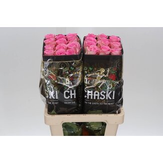 Freshy R Eq Sweet Unique