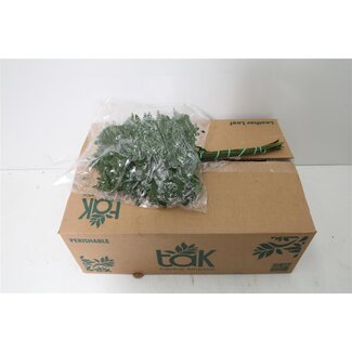 Freshy Rumohra Ledervaren Klein | Kleur: Groen | Lengte ± 35 centimeter | 20 takken per bos | Per 5 bossen