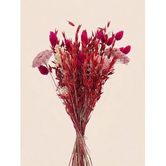 Dutch Dried Trockenblumenstrauß "Layla" | Länge ± 50 Zentimeter | Mit rosa und roten Trockenblumen