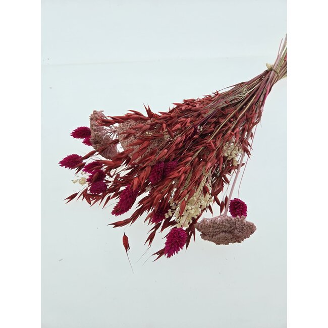 Bouquet de fleurs séchées "Layla" | Longueur ± 50 centimètres | Avec des fleurs séchées roses et rouges