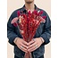 Boeket droogbloemen "Layla" | Lengte ± 50 centimeter | Met roze en rode droogbloemen