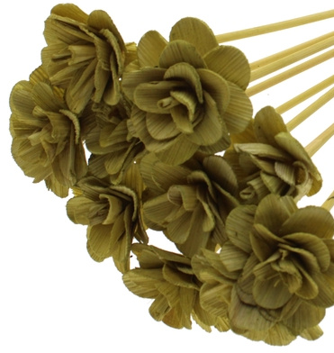 Shola Flowers: Ecologische Pracht voor B2B | B2B Flowers