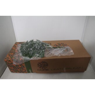 Freshy Rumohra Ledervaren Vacuumverpakt | Kleur: Groen | Lengte ± 50 centimeter | 35 takken per bos | Per 5 bossen