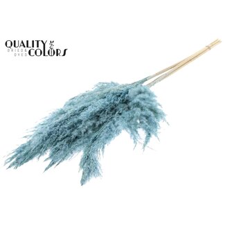 QC Getrocknete Gebleichte Pampasfedern | Farbe: Gefrostetes Hellblau | Länge ± 100 centimeter | 5 Federn pro Bund | Pro Bund