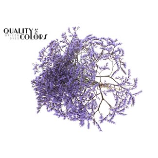 QC Gedroogde Zeelavendel | Kleur: Milkapaars | Limonium Tataricum Droogbloemen | Lengte ± 30 cm | Gewicht 45 gram | Per bos