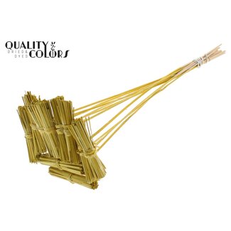 QC Kore Boeketje op stok | Kleur: Metallic Geel | Kore Bijsteker | Lengte bijsteker ± 50 centimeter | 10 bijstekers per bos | Per bos