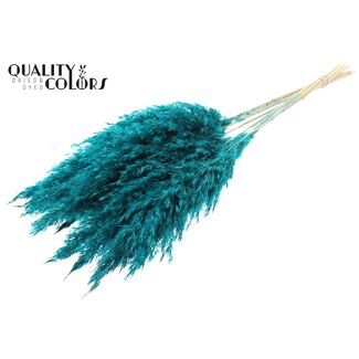 QC Gedroogde Gebleekte Pampas Pluimen | Kleur: Turquoise | Lengte ± 70 centimeter | 10 pluimen per bos | Per bos