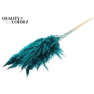 QC Gedroogde Gebleekte Pampas Pluimen | Kleur: Turquoise | Lengte ± 100 centimeter | 5 pluimen per bos | Per bos