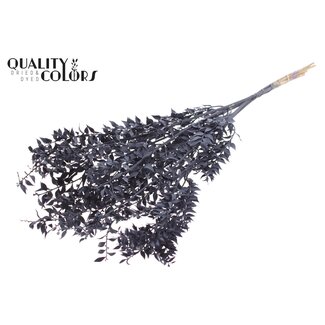 QC Gedroogde Ruscus | Kleur: Zwart | Muizendoorn Droogbloemen | Lengte ± 70 centimeter | 10 takken per bos | Per bos