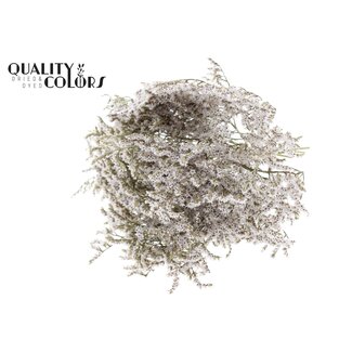QC Lavande de mer séchée | Couleur: Blanc naturel | Limonium Tataricum fleurs séchées | Longueur ± 30 cm | Poids 45 gram | Par bouquet