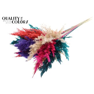 QC Dried Pampas Plumes “Colourful 4” | Colour: Mixed Colours | Pampas Dried Flowers | Length ± 70 centimetres | 10 plumes per bunch | Per bunch