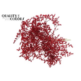 QC Getrocknete Meerlavendel | Farbe: Rot | Limonium tataricum Trockenblumen | Länge ± 30 cm | Gewicht 45 gram | Pro Bund