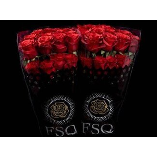 Freshy R Eq Mamma Mia