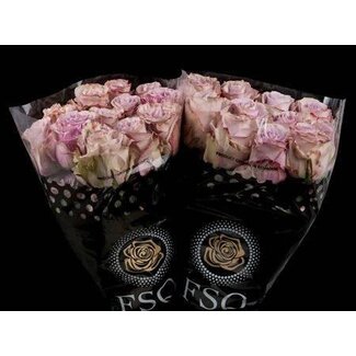 Freshy Grootbloemige Roos XL “Friends” | Kleur: Roze | Lengte ± 60 centimeter | Herkomst Ecuador | Per 20 stelen