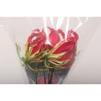 Freshy Gloriosa Rothschildiana | Kleur: Rood | Lengte ± 90 centimeter | Per 5 stelen