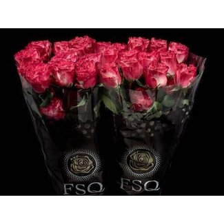 Freshy Grootbloemige Roos “Enchantment” | Kleur: Roze | Lengte ± 50 centimeter | Herkomst Ecuador | Per 20 stelen