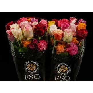 Freshy Grootbloemige Roos “Seasons Mix” | Kleur: Gemengde Kleuren | Lengte ± 40 centimeter | Herkomst Ecuador | Per 20 stelen