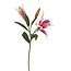 Lilie Kunstblume | Farbe: Hellrosa | Lillium Kunstblumen | Länge ± 90 centimeter | 3 Blütenköpfe pro Stiel | Pro Stück