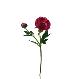 Arti Flora Peony Artificial Flower | Colour: Red | Length ± 55 centimetre | 2 flower heads per stem | Per piece