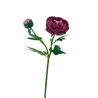 Arti Flora Peony Artificial flower | Colour: Fuchsia | Length ± 55 centimetre | 2 flower heads per stem | Per piece