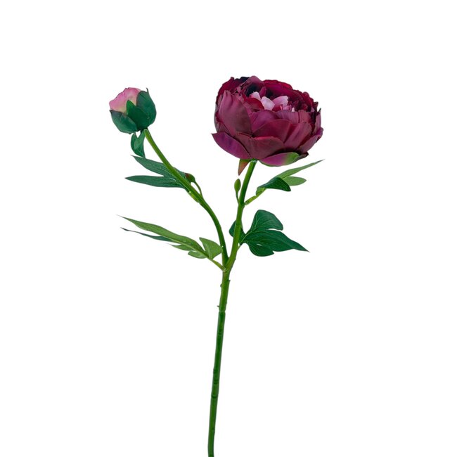 Pfingstrose Kunstblume | Farbe: Fuchsia | Lengte ± 55 centimeter | 2 Blütenköpfe per Stiel | Pro Stück