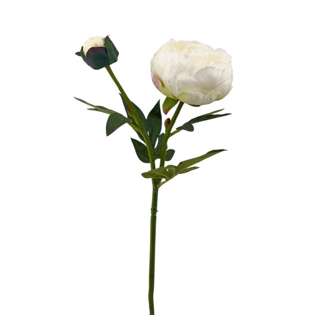 Peony Artif | Cream | 55 cm | 2 Heads per stem |  Per stem