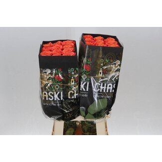 Freshy Grootbloemige Roos “Orange Crush” | Kleur: Oranje | Lengte ± 60 centimeter | Herkomst Ecuador | Per 25 verse bloemen