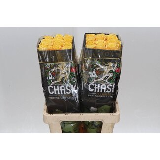 Freshy Grootbloemige Roos “Bumblebee” | Kleur: Geel | Lengte ± 60 centimeter | Herkomst Ecuador | Per 25 verse bloemen