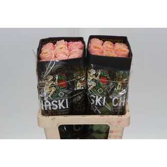 Freshy Grootbloemige Roos “Suns X-pression” | Kleur: Geel | Lengte ± 60 centimeter | Herkomst Ecuador | Per 25 verse bloemen