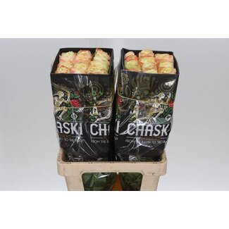 Freshy R Eq Karma-bb