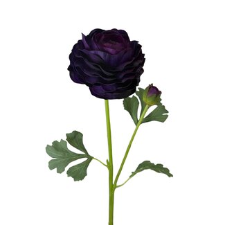 Arti Flora Ranonkel Kunstbloem | Kleur: Paars | Ranunculus kunstbloemen | Lengte ± 45 centimeter | 2 bloemkoppen per steel | Per stuk