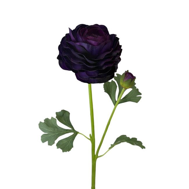 Renoncule Fleur artificielle | Couleur: Violet | Ranunculus fleurs artificielles | Longueur ± 45 centimètre | 2 têtes de fleurs par tige | À l'unité