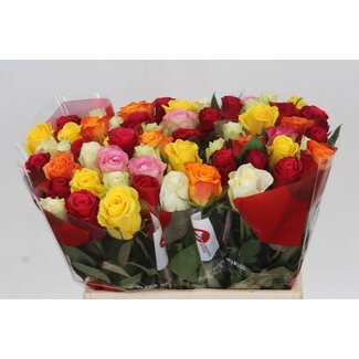 Freshy Roos Gemengd | Kleur: Gemengde Kleuren | Lengte ± 40 centimeter | Per 20 verse bloemen
