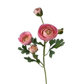 Arti Flora Ranunculus Artificial Flower | Colour: Pink | Ranunculus artificial flowers | Length ± 50 centimetre | 3 flower heads per stem | Per piece