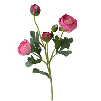 Arti Flora Ranunculus artificial flower | Colour: Dark pink | Ranunculus artificial flowers | Length ± 50 centimeter | 3 flower heads per stem | Per piece