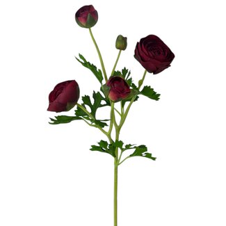 Arti Flora Ranonkel Kunstbloem | Kleur: Rood | Ranunculus kunstbloemen | Lengte ± 50 centimeter | 3 bloemkoppen per steel | Per stuk