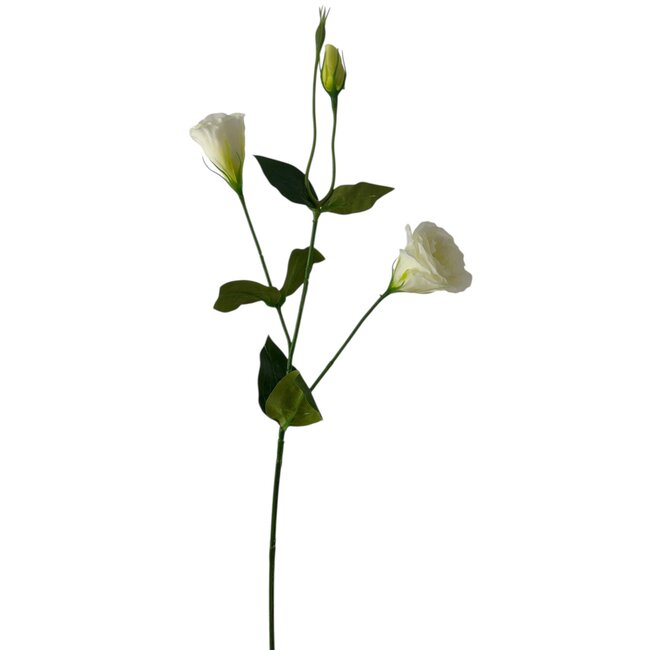 Lisianthus Kunstbloem | Kleur: Natuurlijk Wit | Eustoma kunstbloemen | Lengte ± 65 centimeter | Per stuk