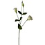 Lisianthus Kunstbloem | Kleur: Natuurlijk Wit | Eustoma kunstbloemen | Lengte ± 65 centimeter | Per stuk