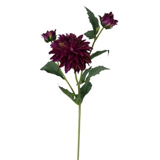 Arti Flora Dahlia fleur artificielle | Couleur: Fuchsia | Longueur ± 60 centimètres | 3 têtes de fleur par tige | À l'unité