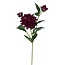 Dahlia Fleur artificielle | Couleur: Fuchsia | Longueur ± 60 centimeter | 3 têtes de fleurs par tige | Par pièce