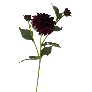 Arti Flora Dahlia Artificial flower | Colour: Bordeaux red | Length ± 60 centimeter | 3 flower heads per stem | Per piece