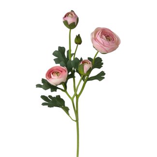 Arti Flora Ranonkel Kunstbloem | Kleur: Lichtroze | Ranunculus kunstbloemen | Lengte ± 50 centimeter | 3 bloemkoppen per steel | Per stuk
