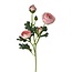 Ranonkel Kunstbloem | Kleur: Lichtroze | Ranunculus kunstbloemen | Lengte ± 50 centimeter | 3 bloemkoppen per steel | Per stuk