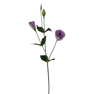 Arti Flora Lisianthus Kunstbloem | Kleur: Lila Paars | Eustoma kunstbloemen | Lengte ± 65 centimeter | Per kunstbloem